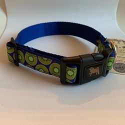 Blue/green Kiwi Pet Collar