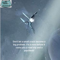 Windshield Crack Repair NOT Replacement!!!