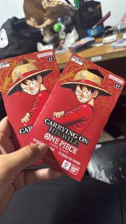 OP 13 One Piece Carrying on his will