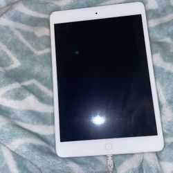 Mini iPad 2nd Generation 