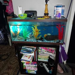 37 Fish Tank Full Setup