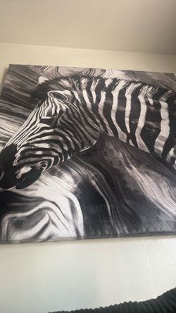 Zebra large wall picture