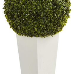 Plant Topiary