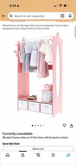 Princess Dress up storage organizer plus treasure chest