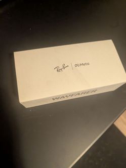Ray-Ban Meta Wayfarer Polarized Smart Glasses