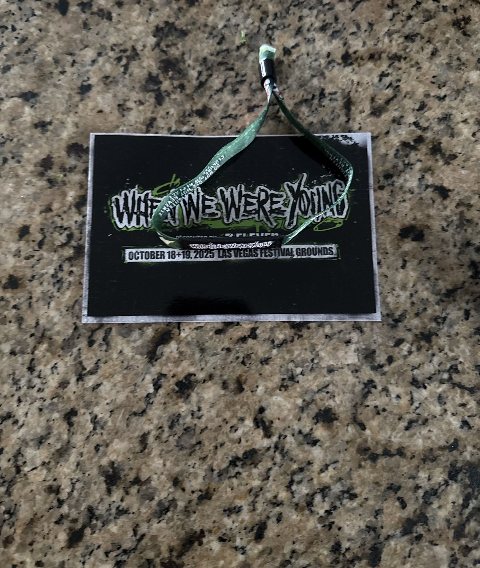 WHEN WE WERE YOUNG Saturday GA $490