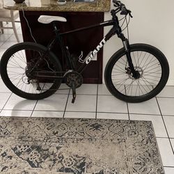 Giant Bike