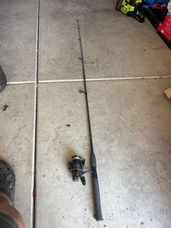 6 foot medium action fishing pole with an Abu Garcia real.