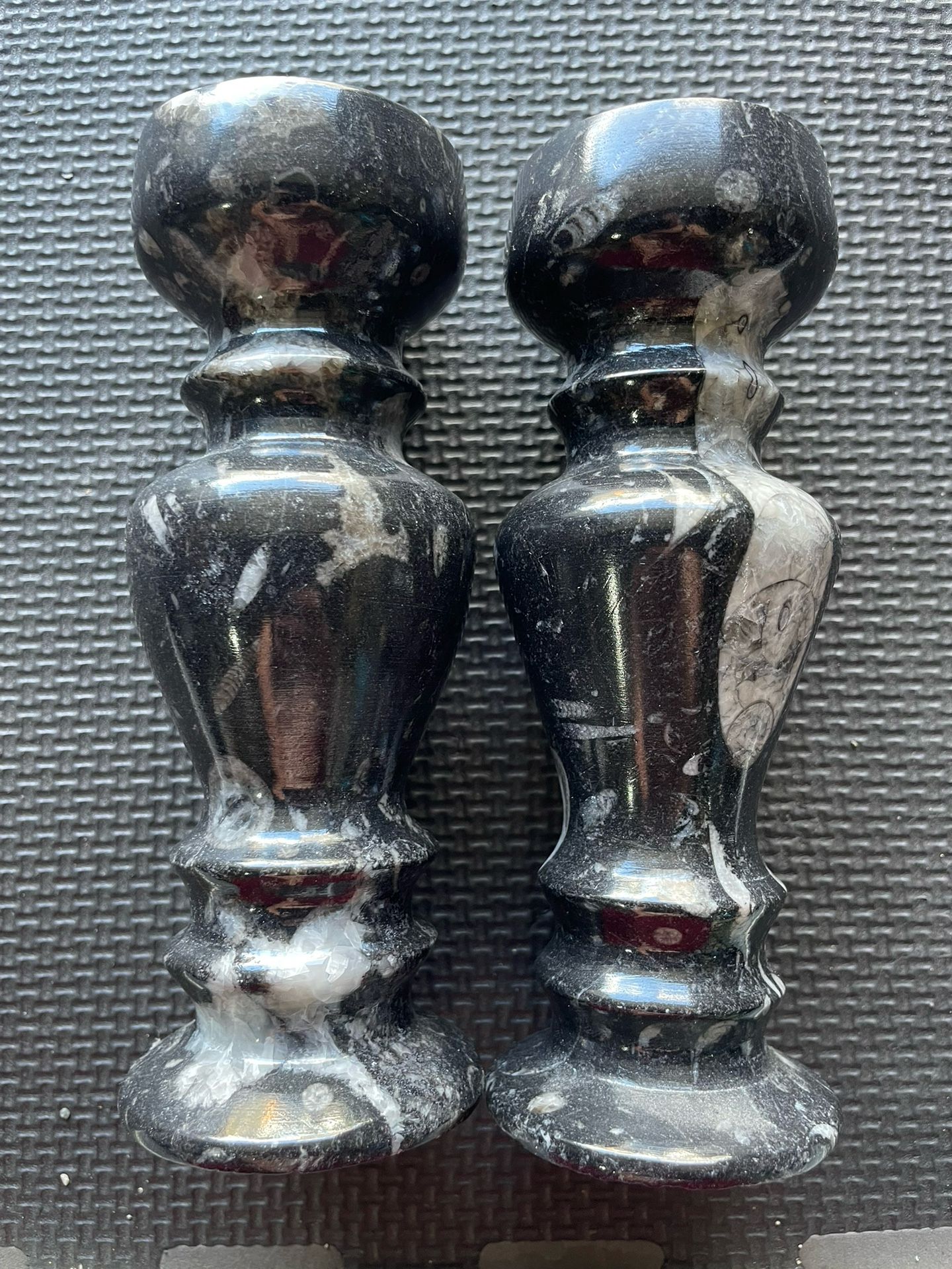 fossil candlestick holders