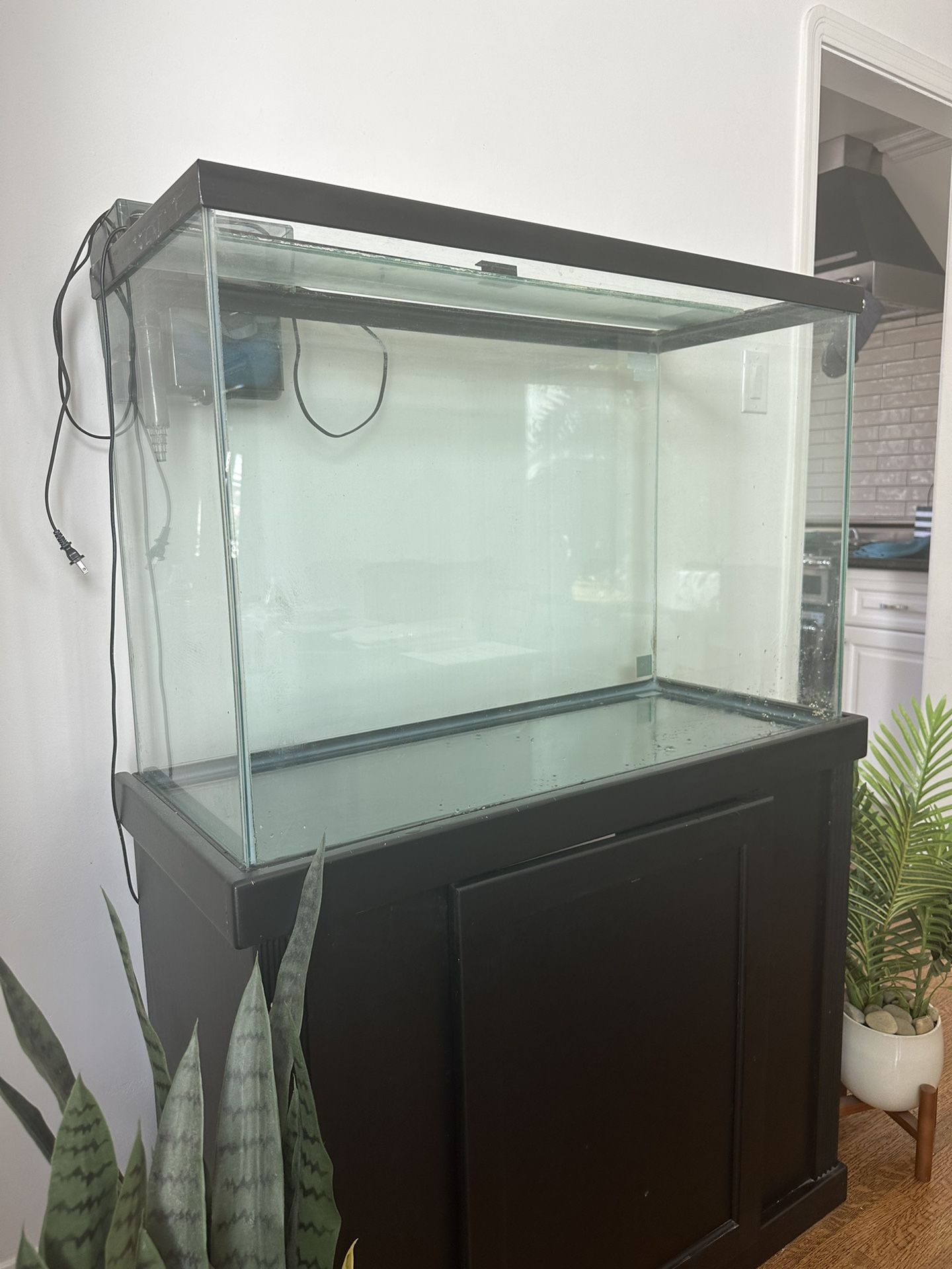 50 gallon Fish Tank Glass W/filter + Stand