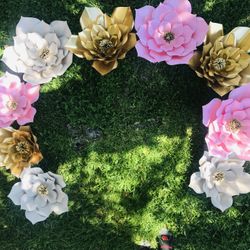 Flores 🌼🌺🌸