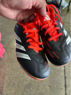 Adidas predator