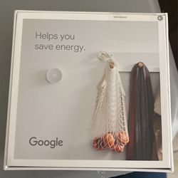 Google Nest Thermostat 