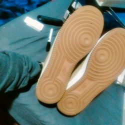 Air Force One Beech Tree Size 14