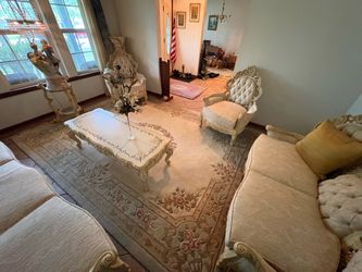 Living room rug