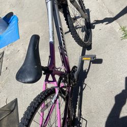 Haro Bike