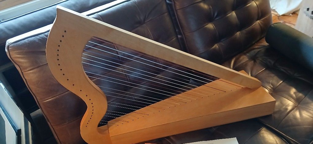 Harp Harpsicle 24 Stringed Instrument With Tuner And Song Book