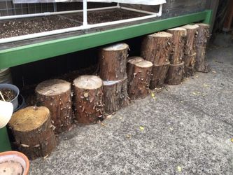 Firewood -Unsplit log  Rounds.