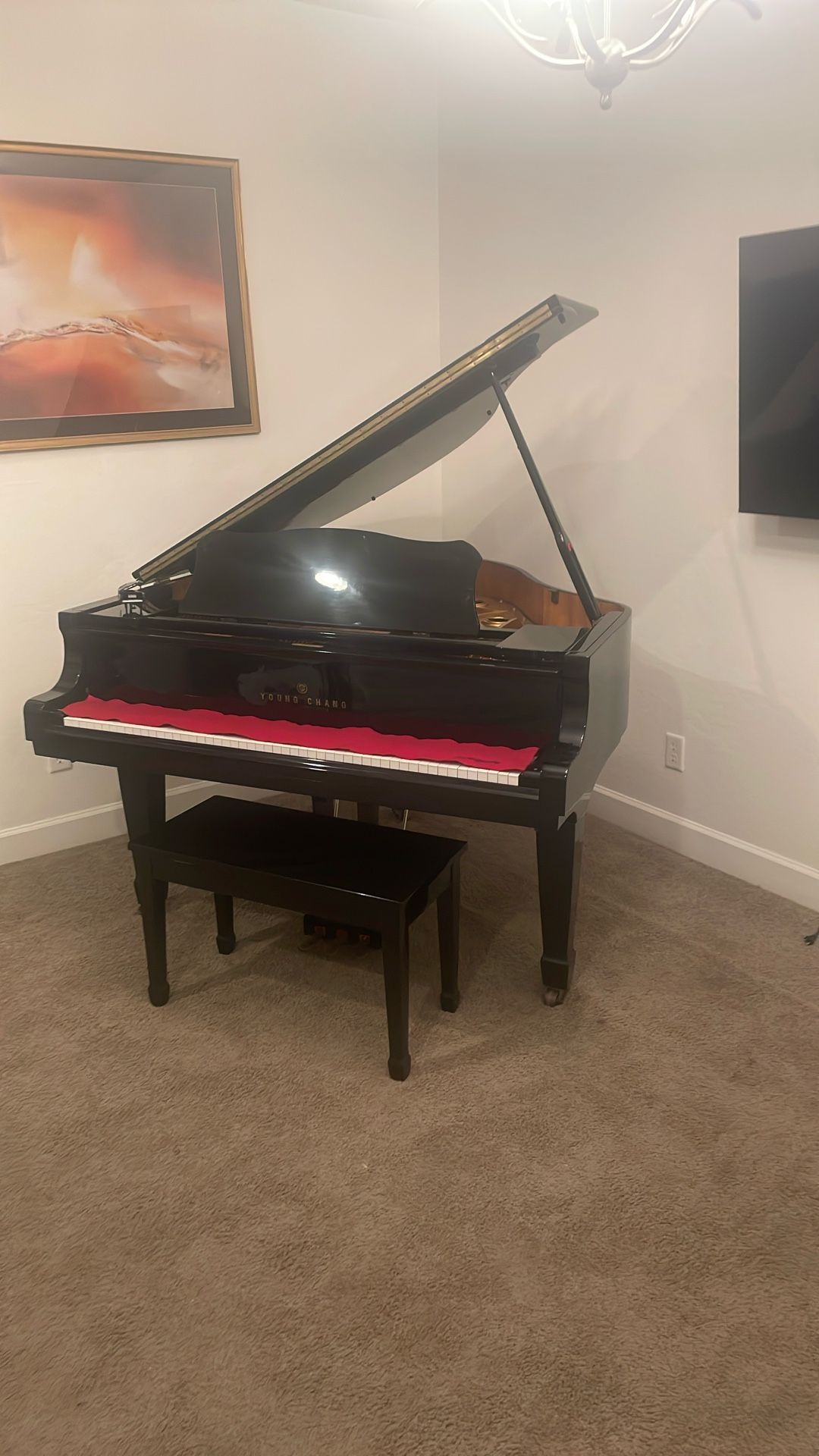 Young Chang Baby Grand Piano (Mint)