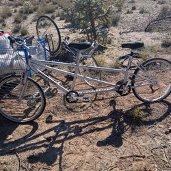 Tandem Sport Bicycle (Also Known As Two Setter Bike)