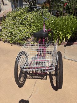 Adult trike