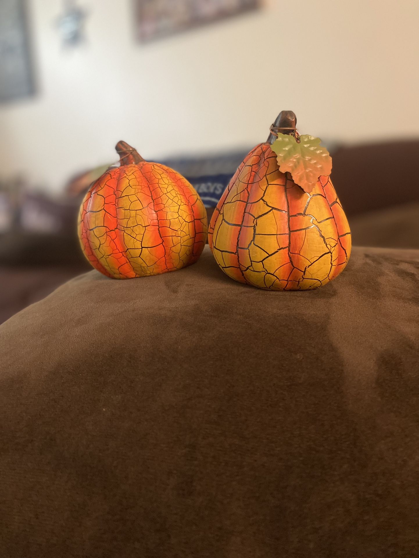 Decorative Pumpkins 2