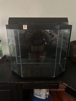 Fish Tank and Aquarium Supplies – All Proceeds Pay For Medical Expenses