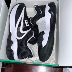 Nike Giannis