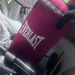 Everlast punching bag mid size