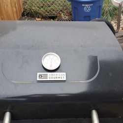 Propane Grill