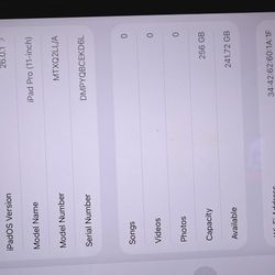 Ipad Pro 11 256gb