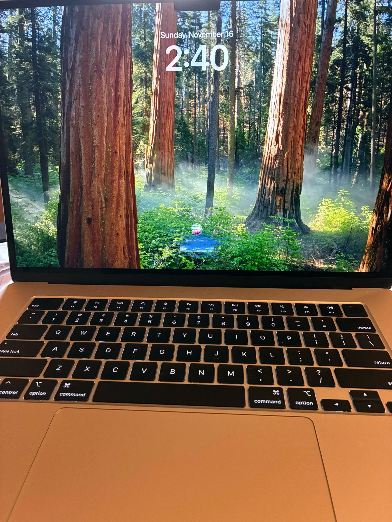 Apple MacBook Air 15” M4 16GB 512GB