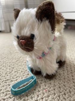 American Girl Himalayan Kitten & Blossoms Collar and Leash