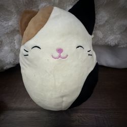 cat Squish Mellow