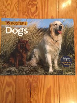 16 Dog Posters