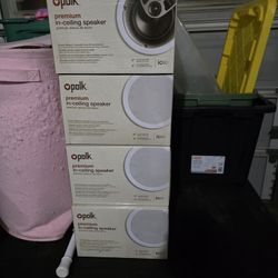 Ceiling Speakers 