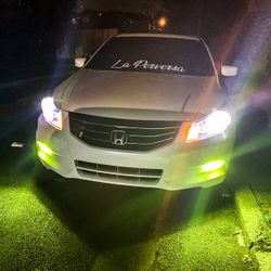 2504 PSX24W LED Fog Light Bulbs 6000K Xenon White 360° Light, Xtreme Super Bright PG20/7 Base Fog Lamps Replacement 5730 33-SMD 