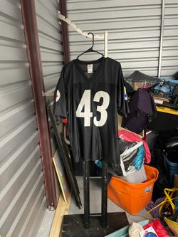 Troy polamalu