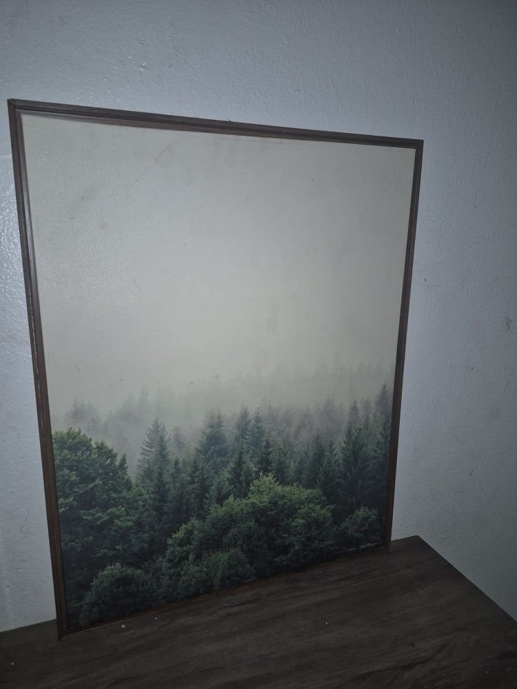 Forest Canvas Art