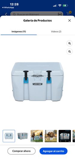 Lifetime 55 Qt Bear-Resistant Camping Cooler, Premium High Performance, Ice Retention, Hard Cooler, Holds 60 Cans, Light Gray