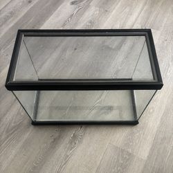 20 Gallon Tank 