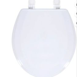 Beveled edge toilet seat