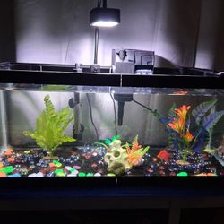 20 Long Fish Tank