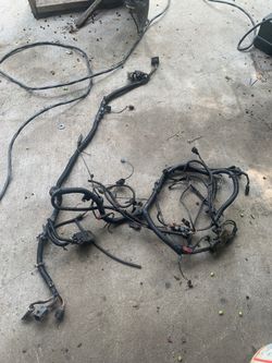 Cummins motor harness