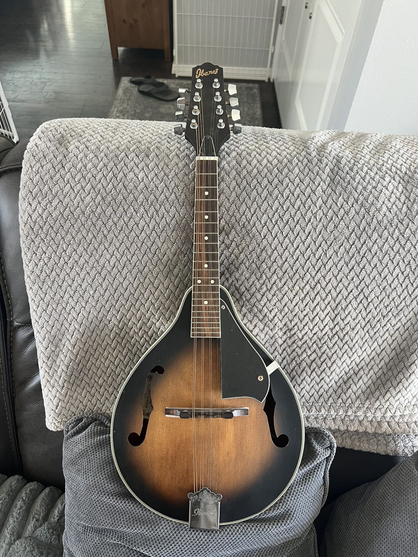 Ibanez Mandolin