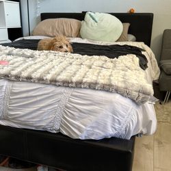 Bed frame Doesn’t Include Puppy Or Blankets Queen Size