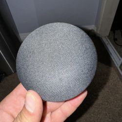 Google Home Speaker