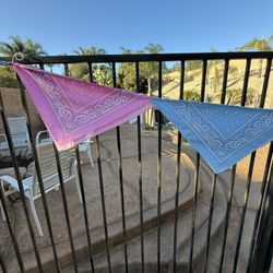 Gender Reveal, Pink Or Blue Boots Or Bows Decorations