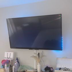 Philips 49 Inch Flat Screen Tv