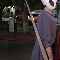 Hallow Knight Costume/Cosplay